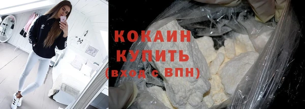 стаф Богданович