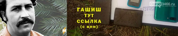 стаф Богданович