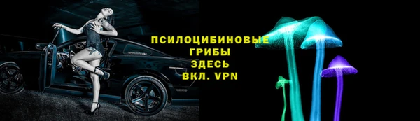 стаф Богданович