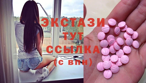 стаф Богданович