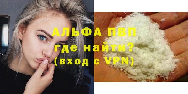 амф Бородино