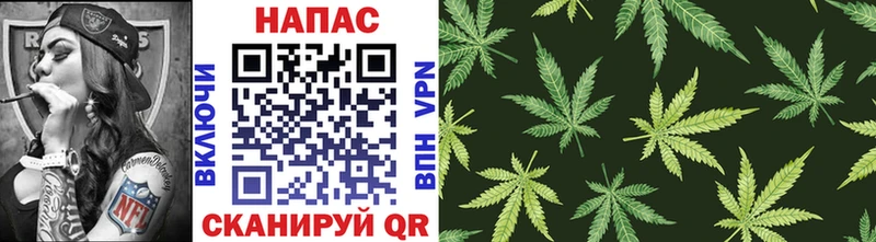 Купить  Петушки  Канабис Ganja 